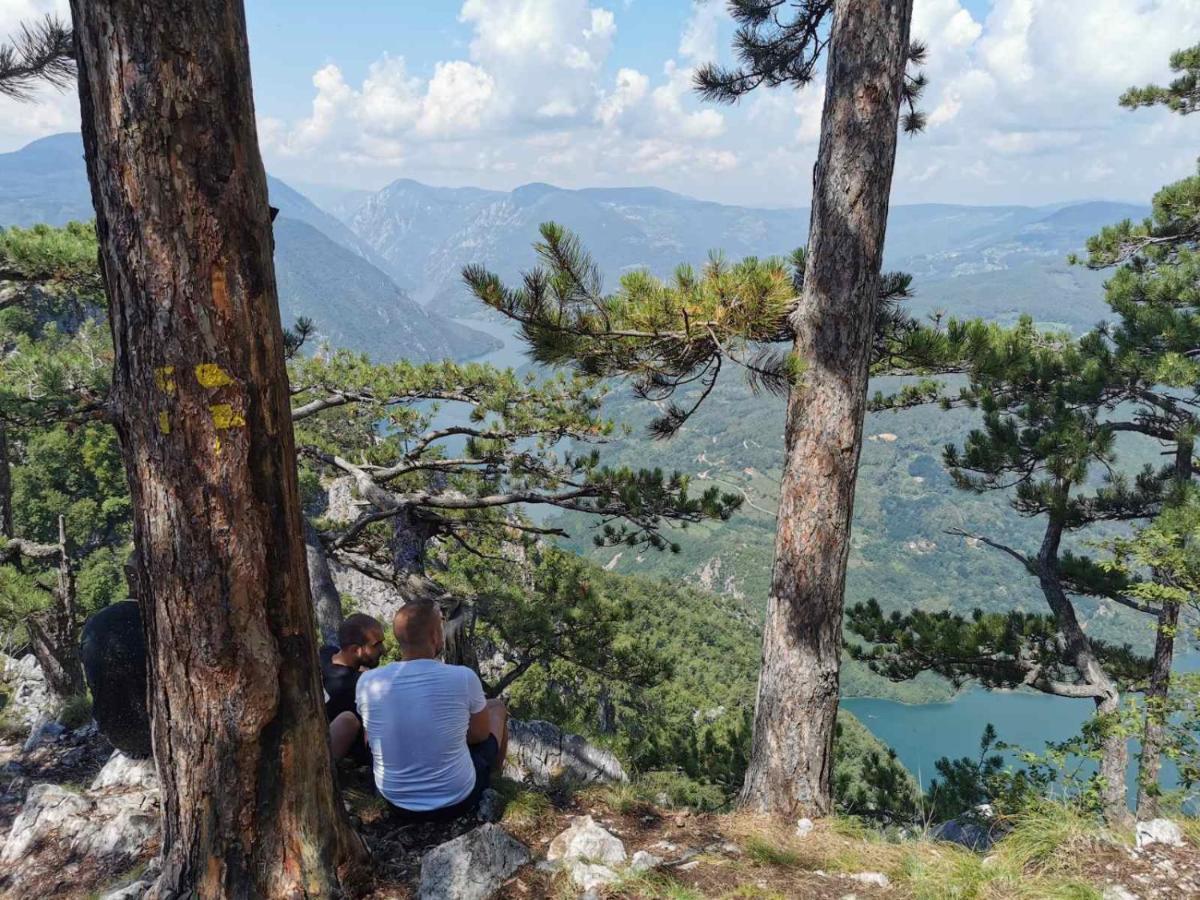 Bugar Mitrovac